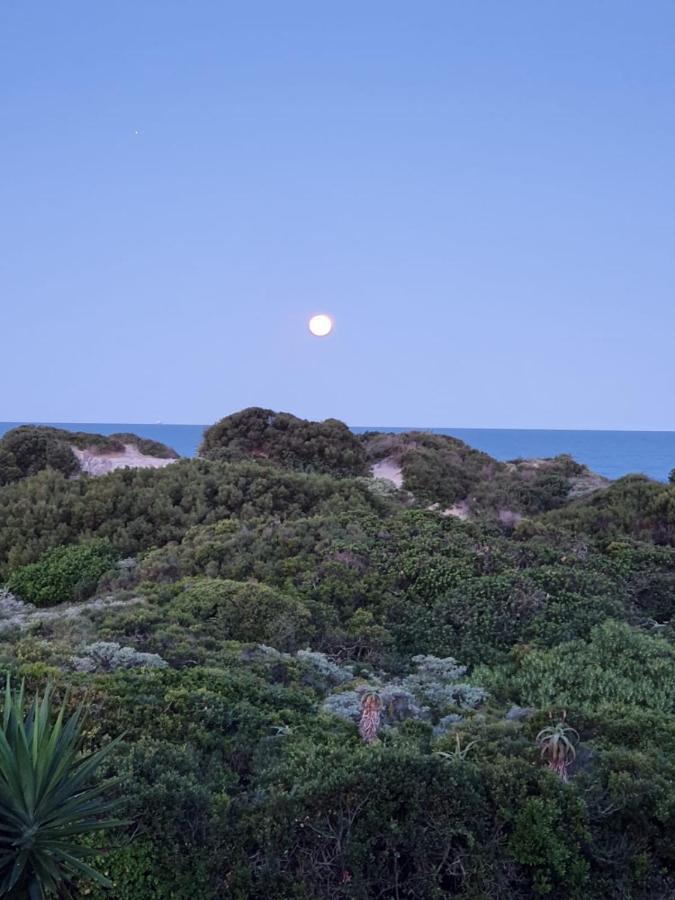 Guest house House Haven Port Elizabeth